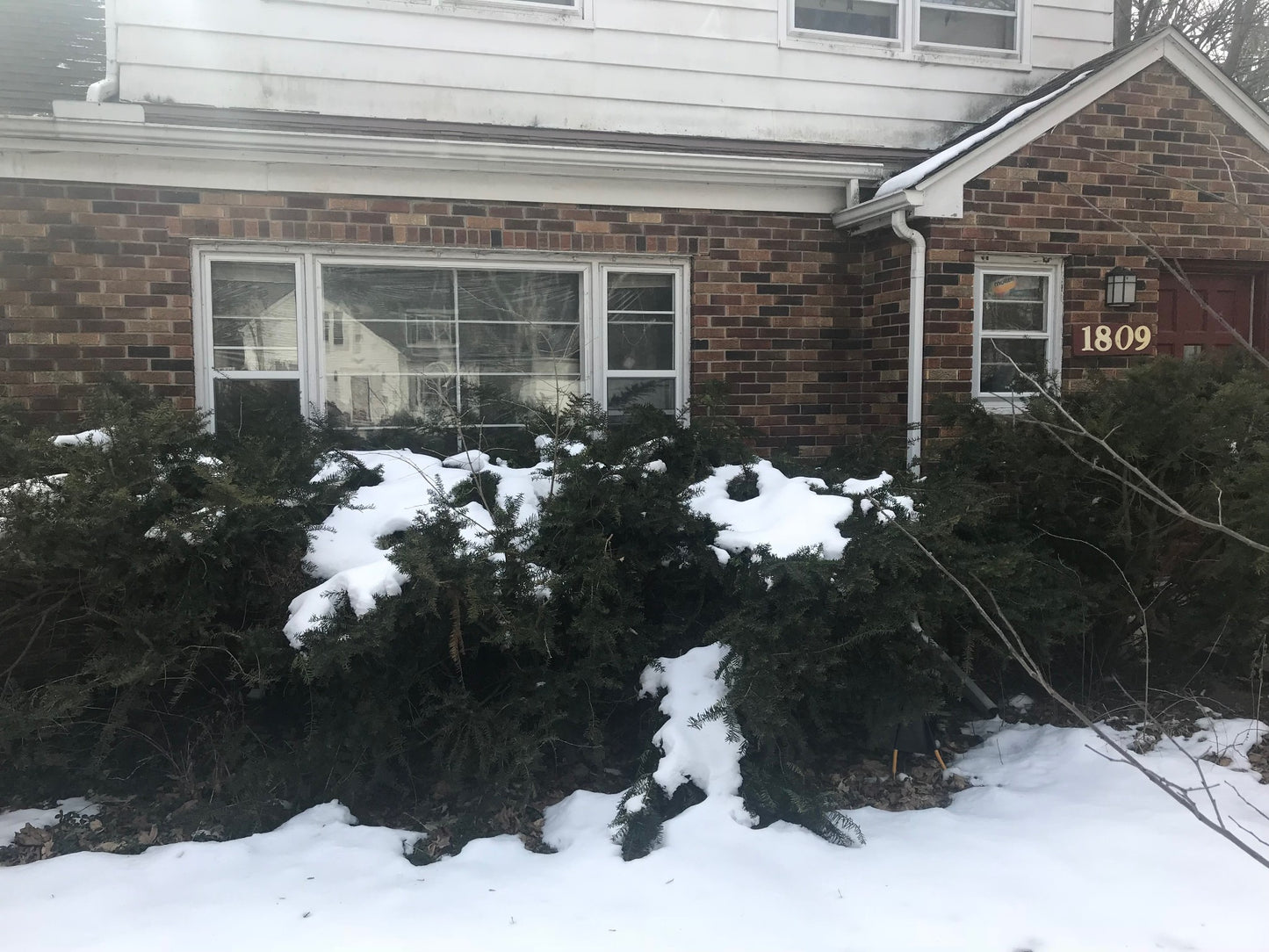 BALDWIN STREET LISTING