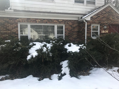 BALDWIN STREET LISTING