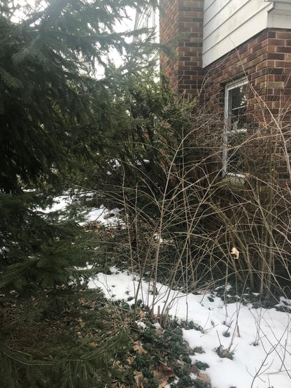 BALDWIN STREET LISTING