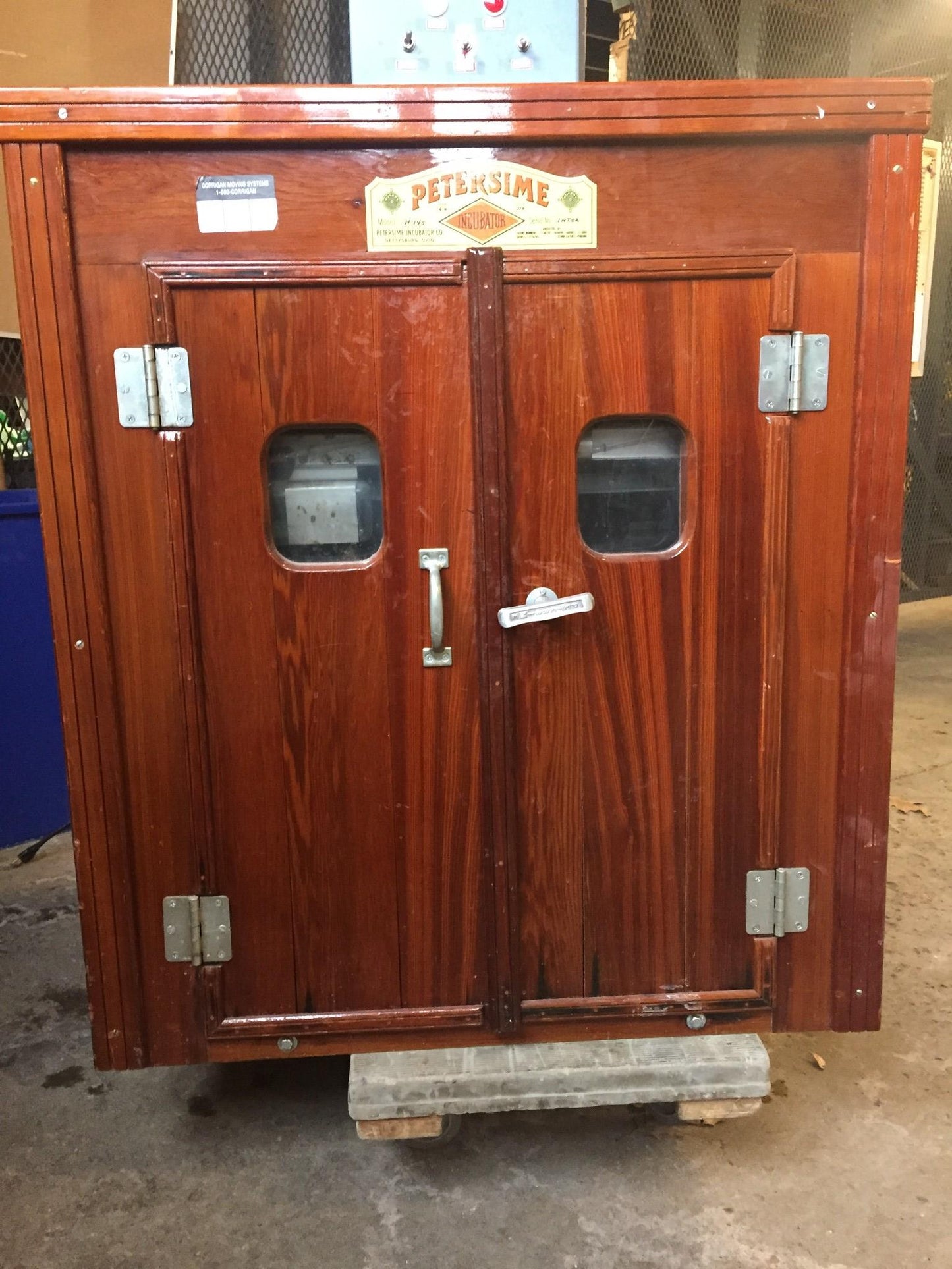 RARE PETERSIME H145 ROSEWOOD MOTORIZED EGG INCUBATOR HATCHER WATCHVIDEO FREESHIP