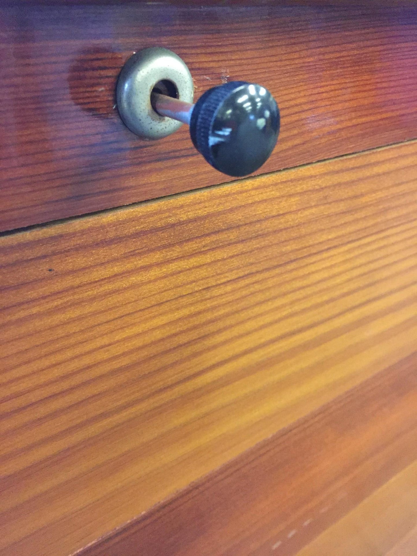 RARE PETERSIME H145 ROSEWOOD MOTORIZED EGG INCUBATOR HATCHER WATCHVIDEO FREESHIP