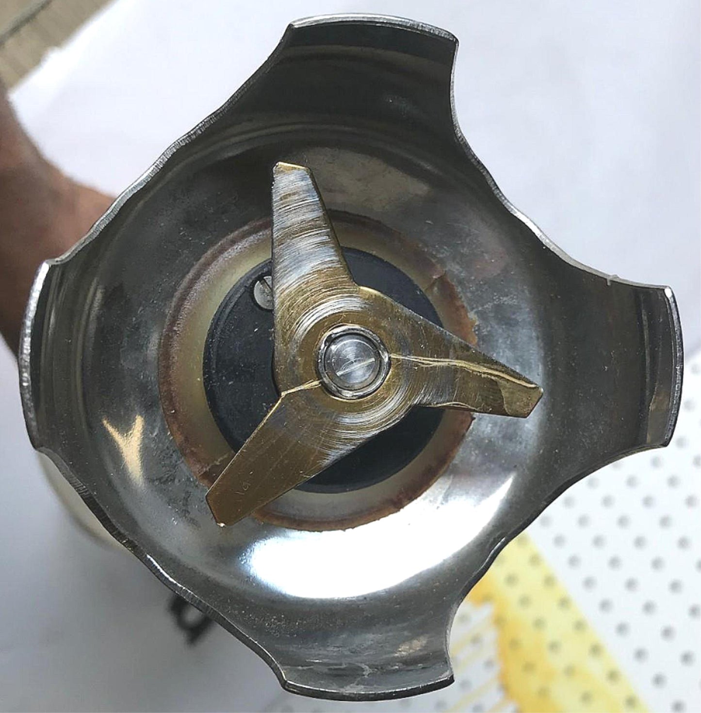 DYNAMIC MX91 COMMERCIAL IMMERSION BLENDER MIXER 16" Shaft WATCH VIDEO FREE SHIP