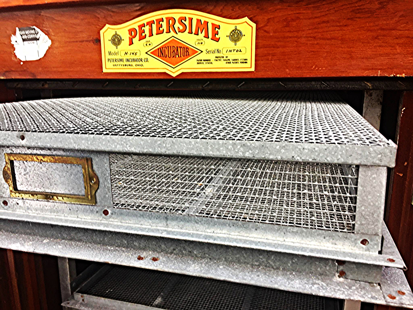 RARE PETERSIME H145 ROSEWOOD MOTORIZED EGG INCUBATOR HATCHER WATCHVIDEO FREESHIP