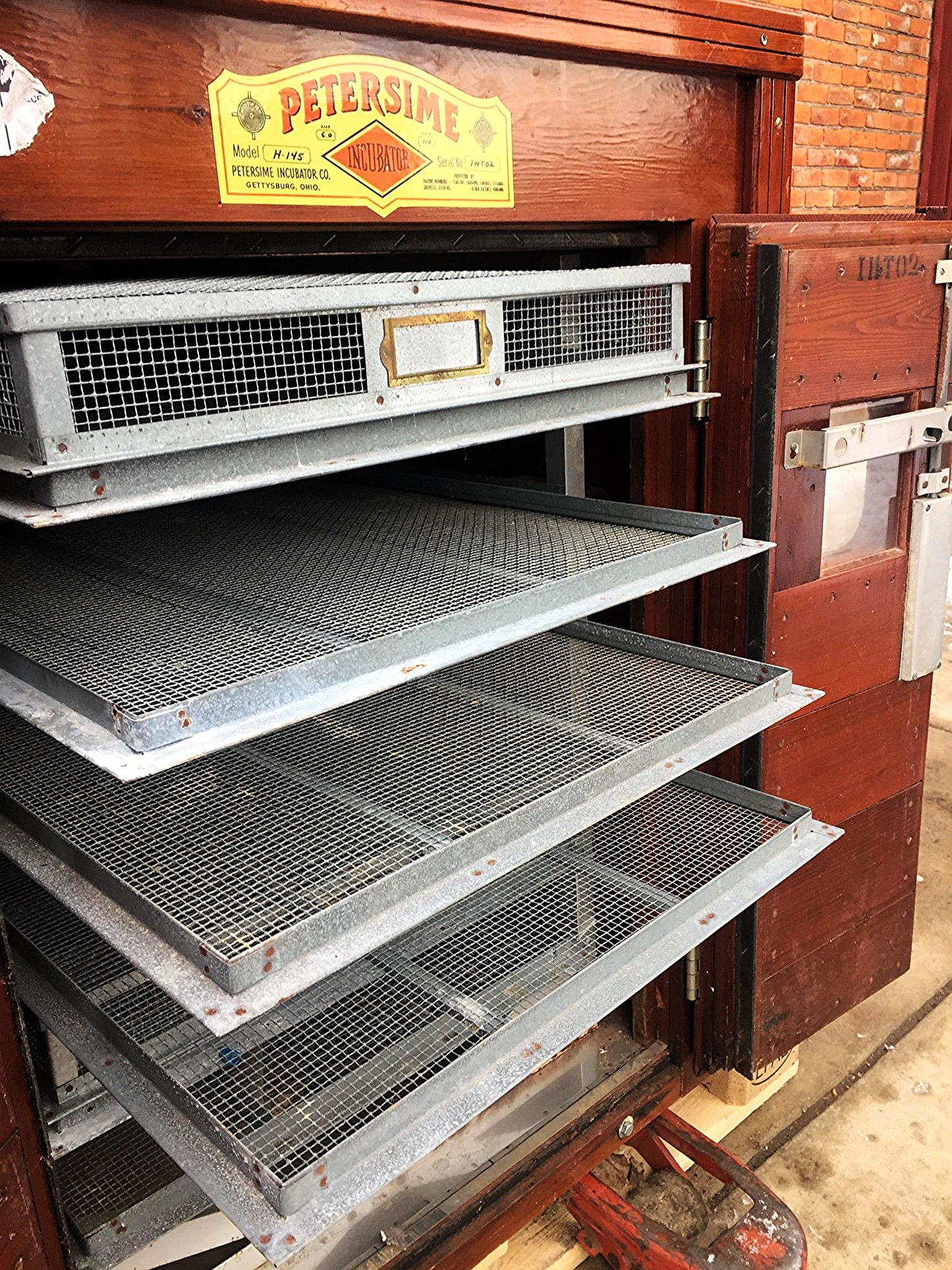 RARE PETERSIME H145 ROSEWOOD MOTORIZED EGG INCUBATOR HATCHER WATCHVIDEO FREESHIP