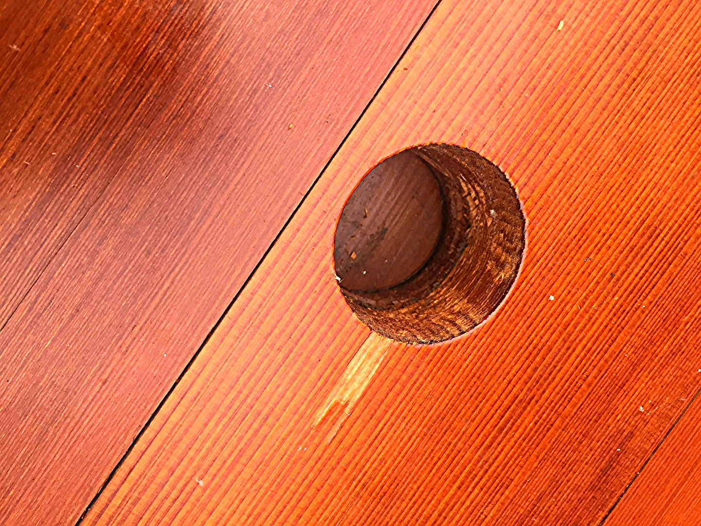 RARE PETERSIME H145 ROSEWOOD MOTORIZED EGG INCUBATOR HATCHER WATCHVIDEO FREESHIP