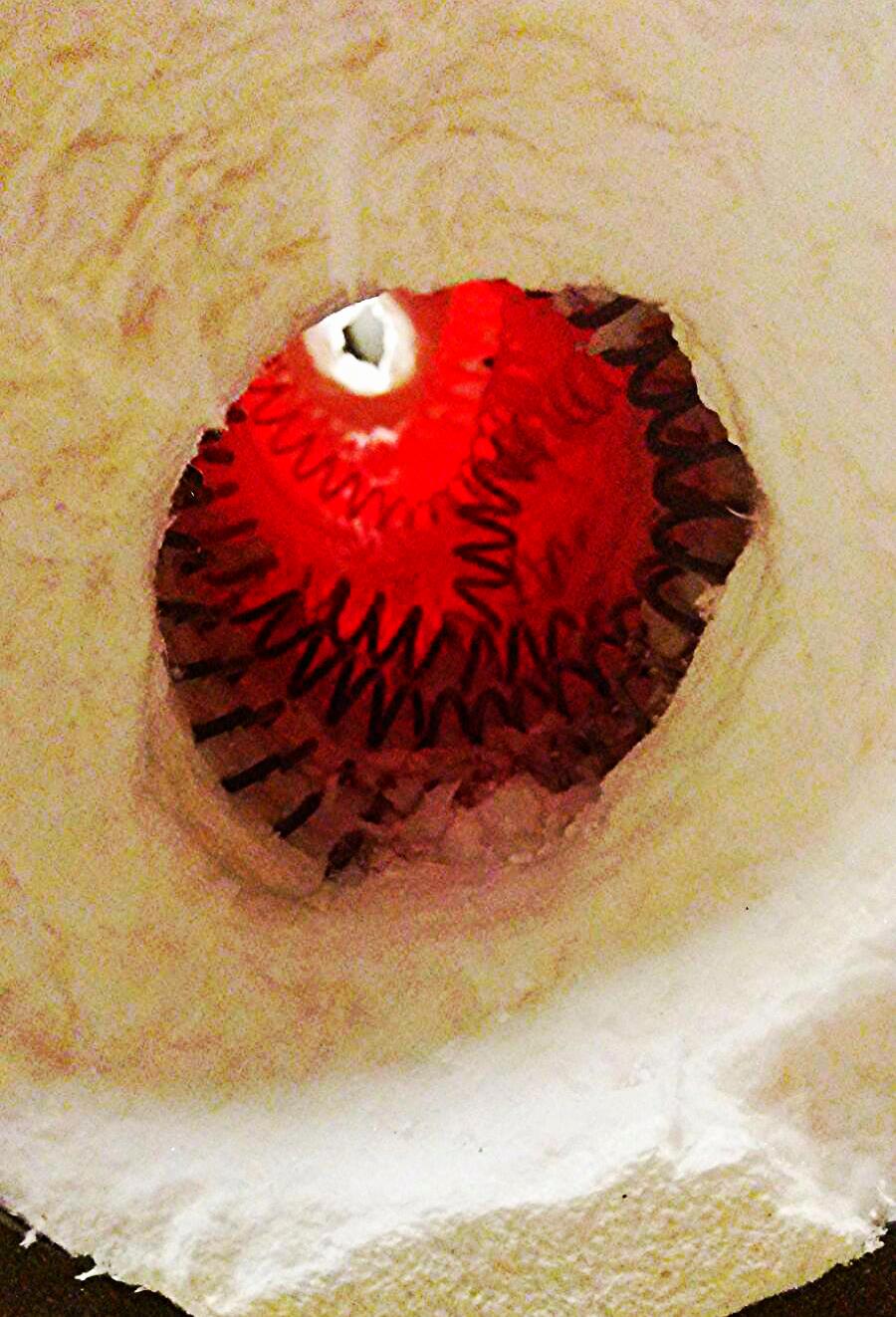 THERMOLYNE SYBRON F-21125 TUBE FURNACE 1300 WATTS 15" LONG / 2" DIAMETER