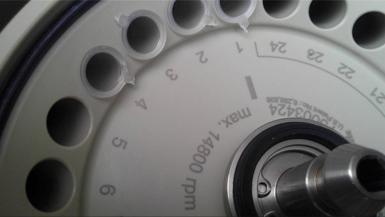 FISHER SCIENTIFIC ACCUSPIN MICRO 17R CENTRIFUGE with ROTOR