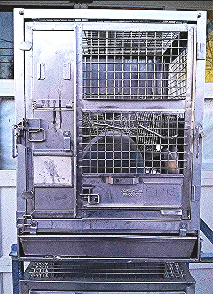 2 ACME VETERINARY PET CLINIC STAINLESS STEEL CAGE RACK WHEELS HUNT ANIMAL TURKEY