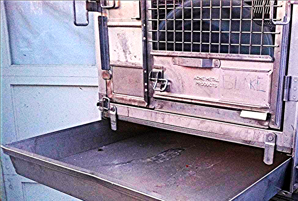 TWO HUNT ANIMAL GAME TURKEY CAGE ACME STAINLESS STEEL RACK WHEELS LAB VETERINARY