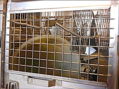 2 ACME VETERINARY PET CLINIC STAINLESS STEEL CAGE RACK WHEELS HUNT ANIMAL TURKEY