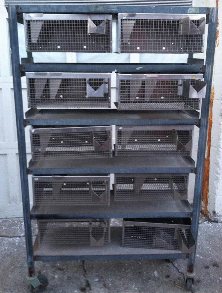 WAHMANN ACME STAINLESS 10 ANIMAL BIRD GAME CAGE HUNT RACK VETERINARY LAB 17x10x7