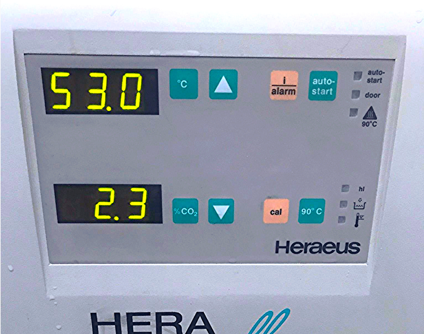 HERA CELL 240 CO2 INCUBATOR by HERAEUS with COPPER TRAYS on Wheels Cart