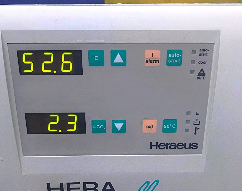 HERA CELL 240 CO2 INCUBATOR by HERAEUS with COPPER TRAYS on Wheels Cart
