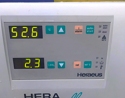HERA CELL 240 CO2 INCUBATOR by HERAEUS with COPPER TRAYS on Wheels Cart