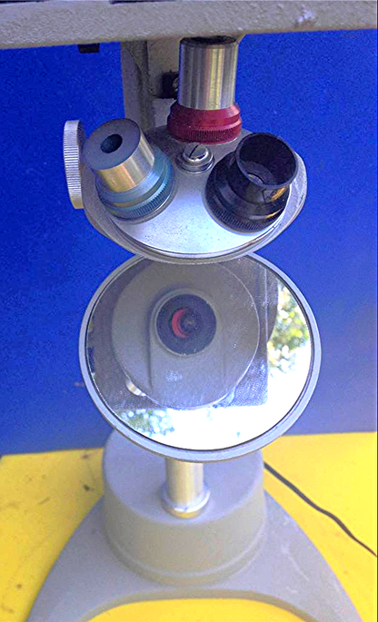 RARE BAUSCH & LOMB PROJECTION 42-63-59 INVERTED MICROSCOPE & STAND FREE SHIPPING