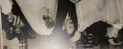 AMERSHAM HOEFER SE 600 RUBY VERTICAL Dual Cooled ELECTROPHORESIS GEL FREE SHIP