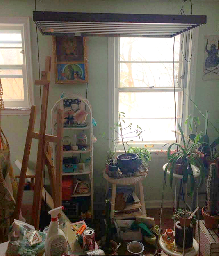 BALDWIN STREET LISTING