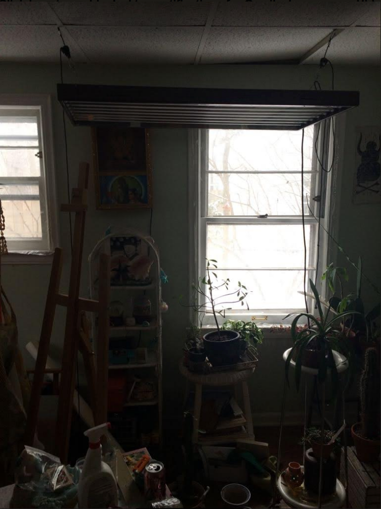 BALDWIN STREET LISTING