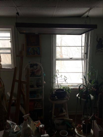 BALDWIN STREET LISTING