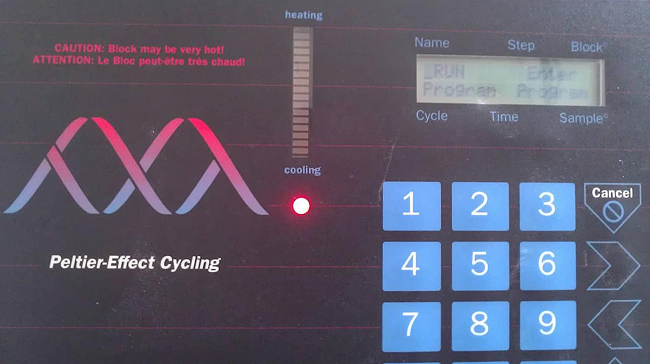 PTC-100 PELTIER PROGRAMMABLE THERMAL CONTROLLER CYCLER 96-WELL & HOT BONNET LID