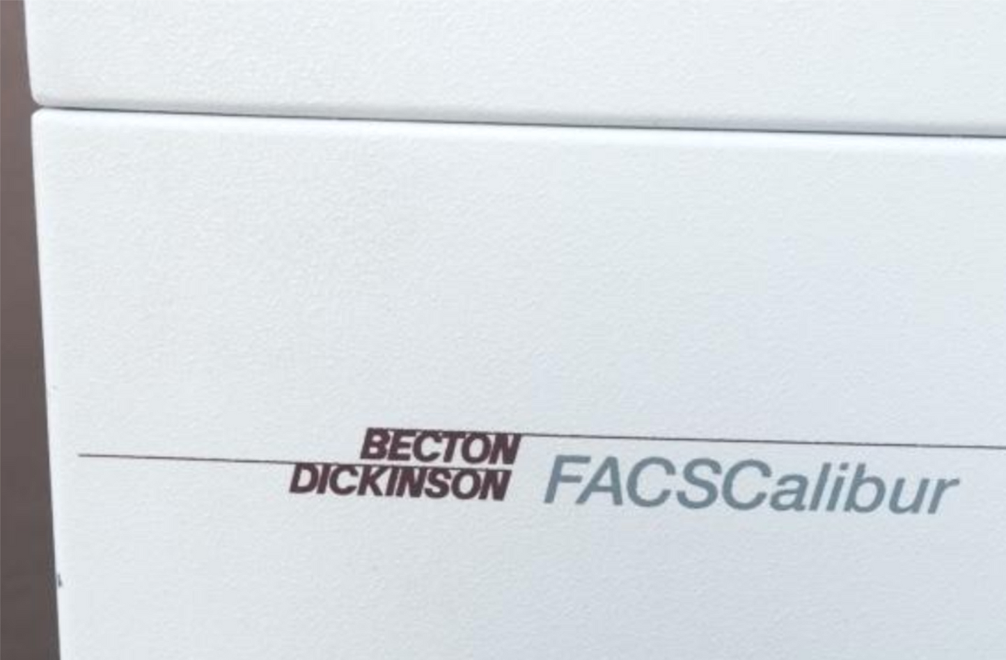 BECTON DICKINSON FACSCALIBUR FLUORESCENCE ACTIVATED CELL SORTER 4 FLOW CYTOMETER