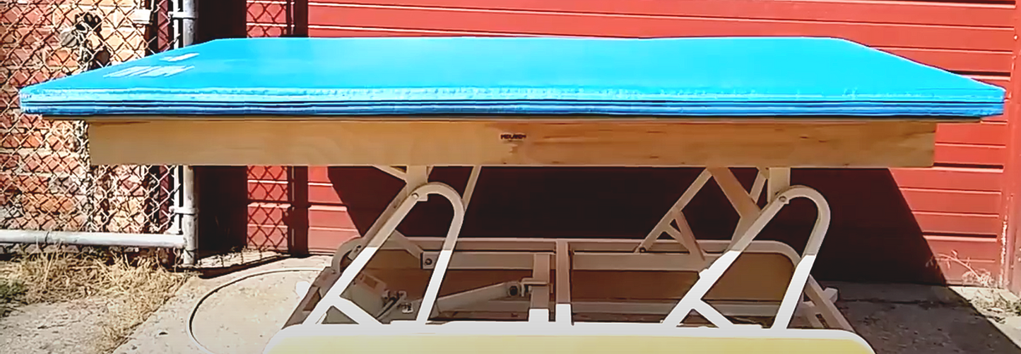 MIDLAND SAMMONS PRESTON LARGE 4x7 POWER BARIATRIC BOBATH CHIROPRACTIC WATCHVIDEO