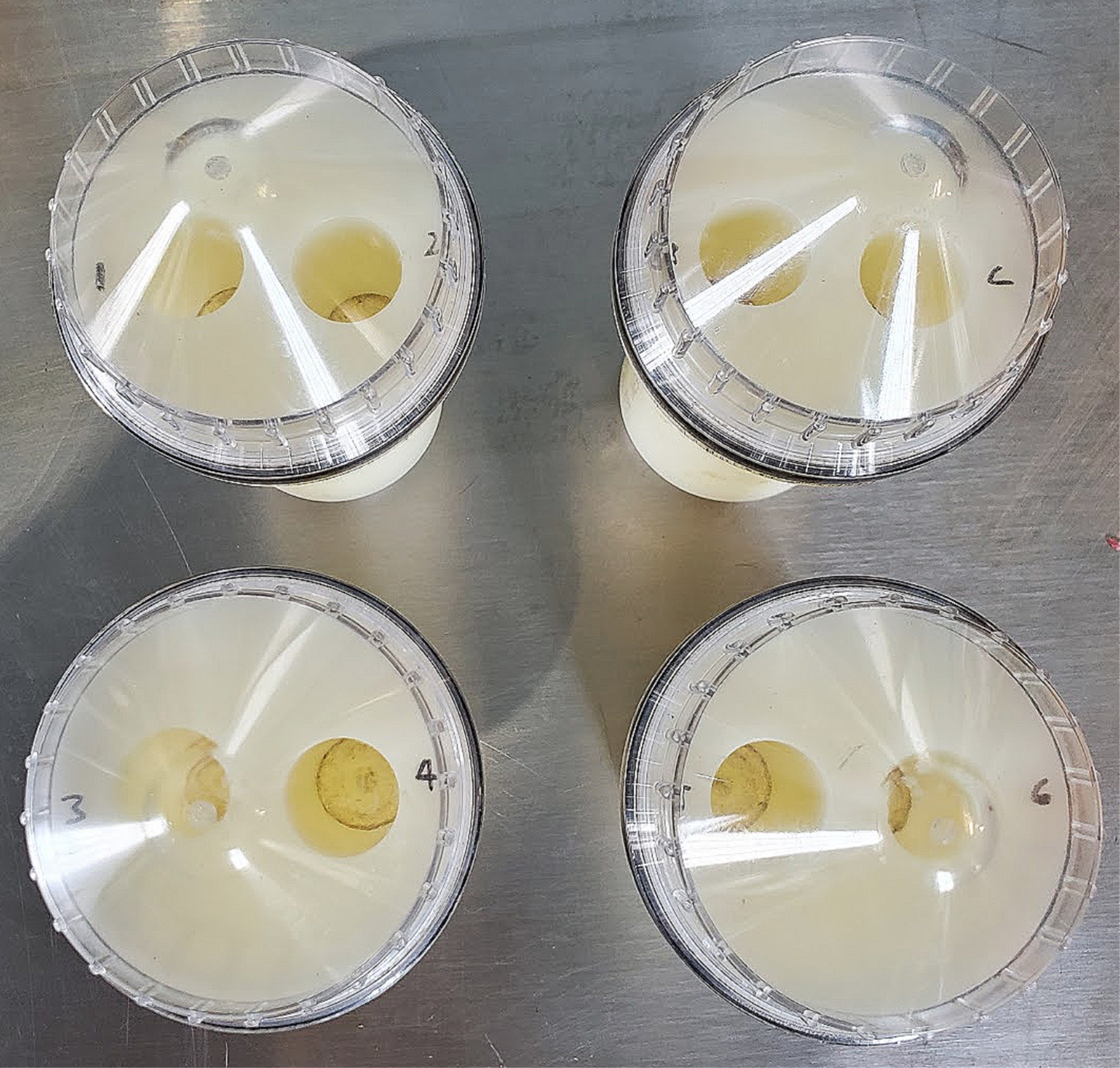 THERMO FISHER CENTRA CL2 CENTRIFUGE with ROTOR 6 TUBES WATCH VIDEO FREESHIP