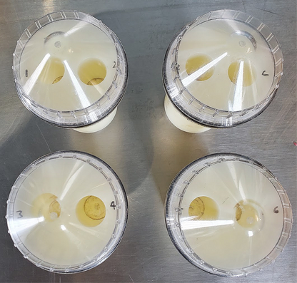 THERMO FISHER CENTRA CL2 CENTRIFUGE with ROTOR 6 TUBES WATCH VIDEO FREESHIP