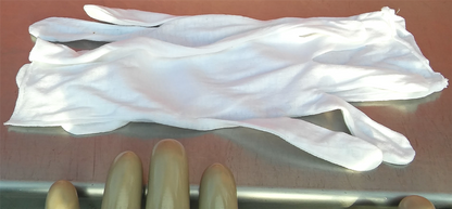 VINYL X-RAY RADIATION PROTECTION LEAD GLOVES WARRANTY FREE SHIPPING