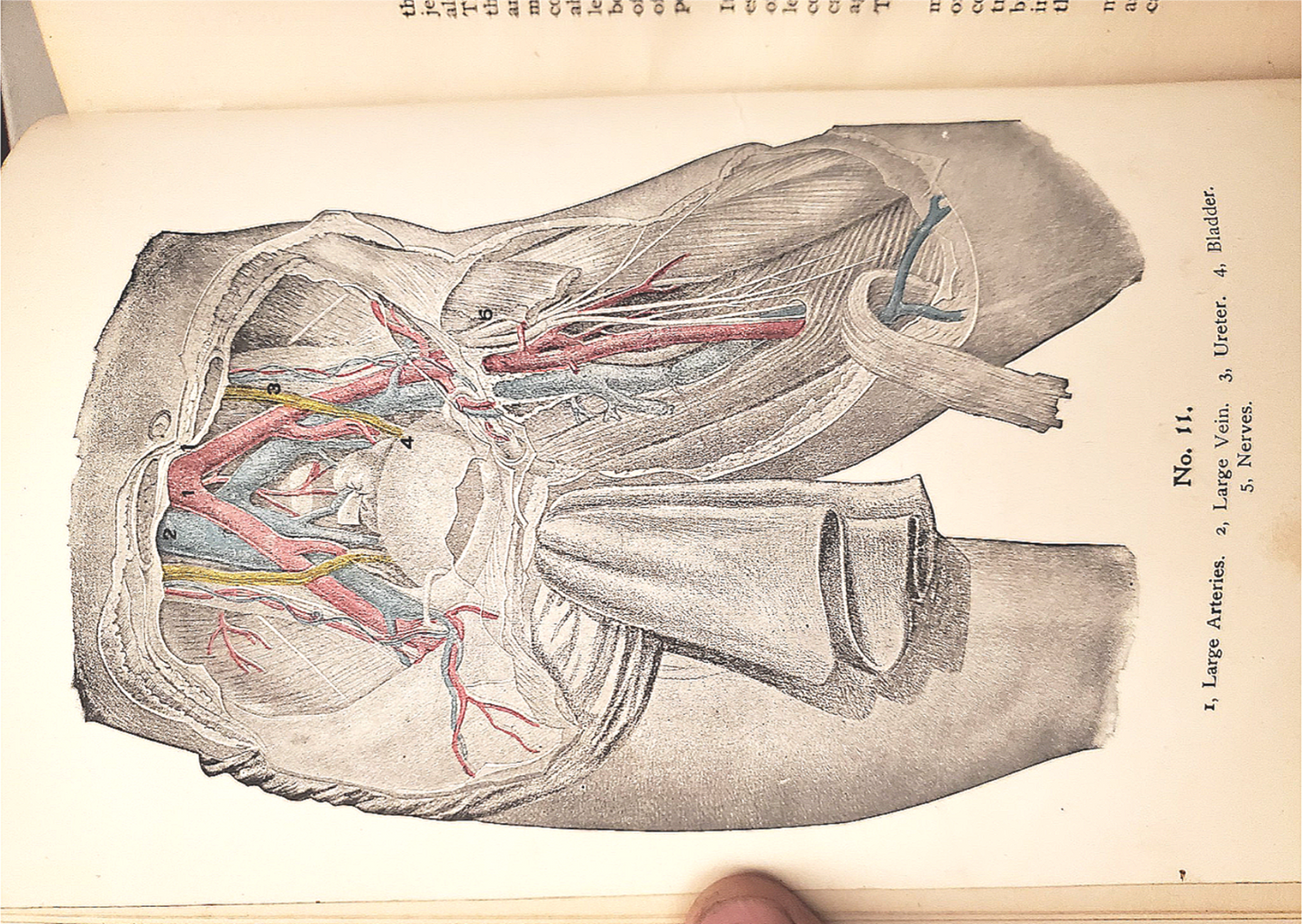 RARE 1907 VINTAGE "THE FAVORITE MEDICAL RECEIPT BOOK & HOME DOCTOR" ILLUSTRATED