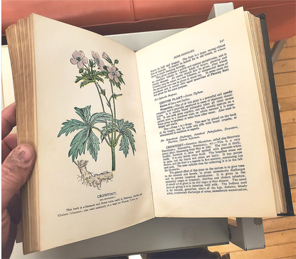 RARE 1907 VINTAGE "THE FAVORITE MEDICAL RECEIPT BOOK & HOME DOCTOR" ILLUSTRATED