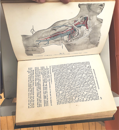 RARE 1907 VINTAGE "THE FAVORITE MEDICAL RECEIPT BOOK & HOME DOCTOR" ILLUSTRATED