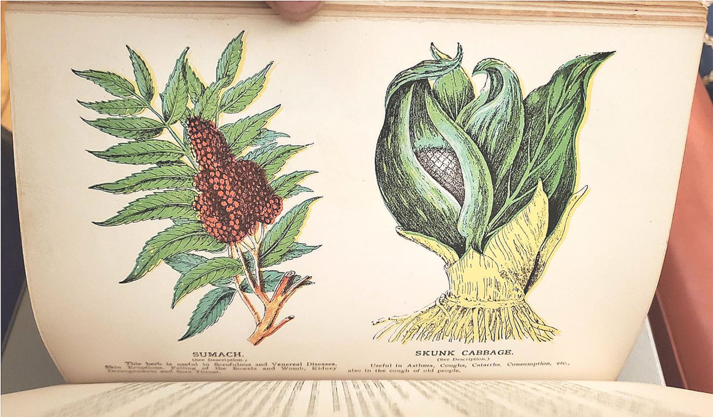 RARE 1907 VINTAGE "THE FAVORITE MEDICAL RECEIPT BOOK & HOME DOCTOR" ILLUSTRATED