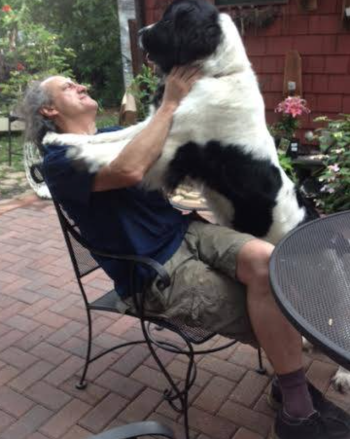 VANTE SEBRA 3120 1090 PHARMACEUTICAL TUBE SEALER  90DAYWARRANTY WATCHVIDEO