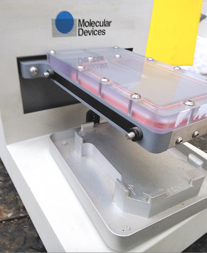CCS PACKARD MOLECULAR DEVICES MICROPLATE MODEL PLATEWASH Technical Alternatives