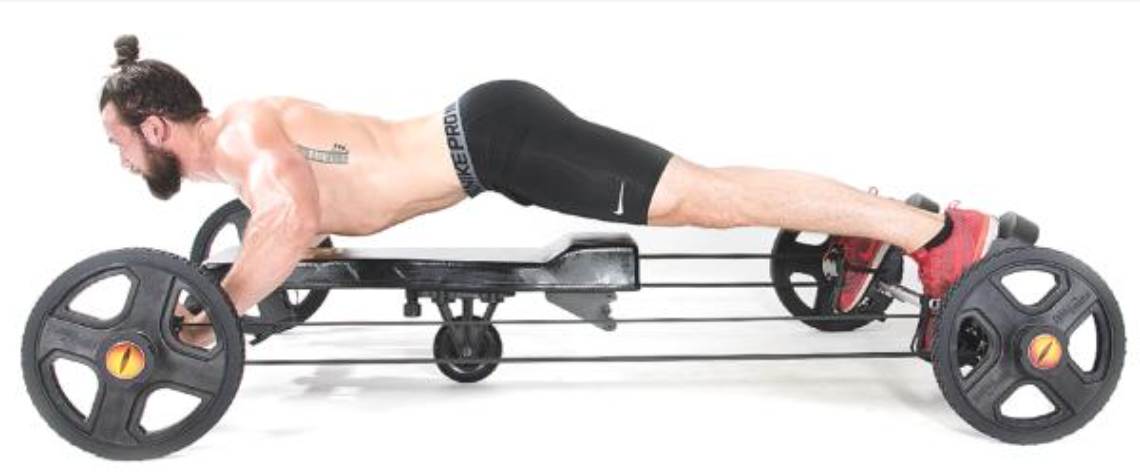 THE FROG FITNESS TOTAL BODY FULL CORE TRAINING EXERCISE EQUIPMENT FREE SHIPPING