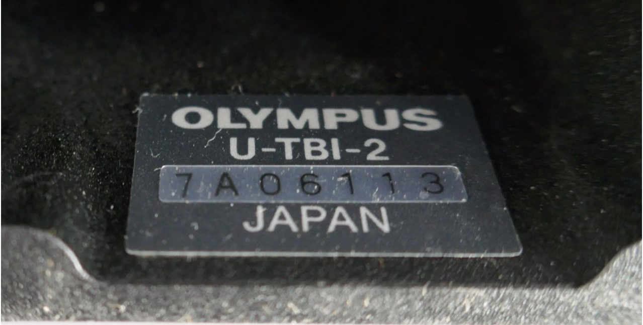 Olympus U-TBI-2 Head/Viewer Attachment FREE SHIP