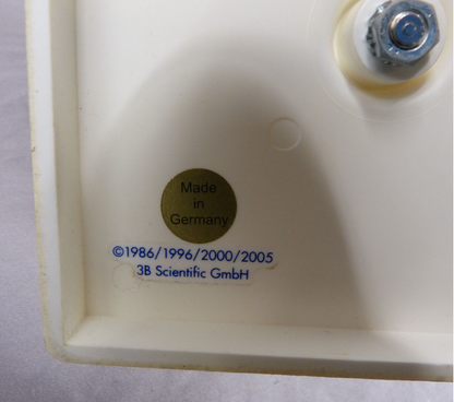 3B Lumbar Spine Teaching Model-Single Part