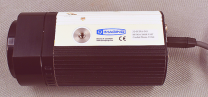 QImaging QICAM RETIGA 2000R MONO DIG CAMERA 12-Bit 1.92MP 90DAYWARRANTY FREESHIP