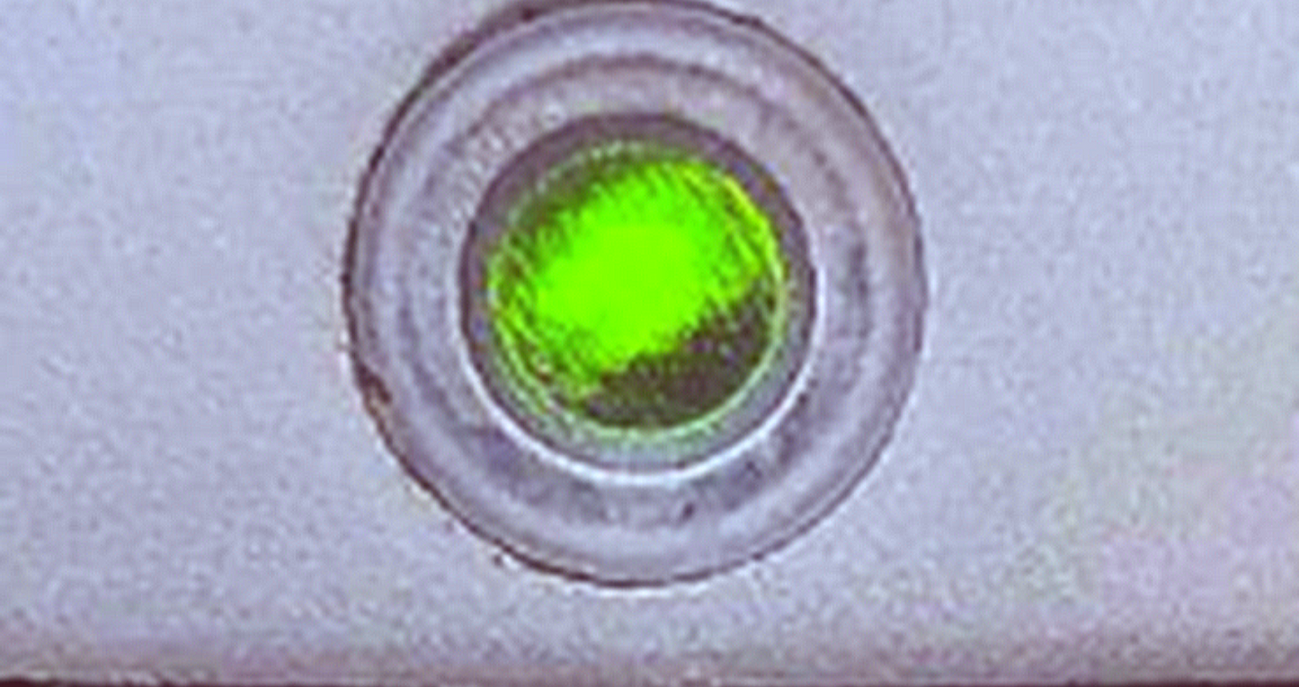 TECAN ULTRA F129010 PLATE READER FLUORESCENCE ABSORBANCE MANUALWARRANTY FREESHIP