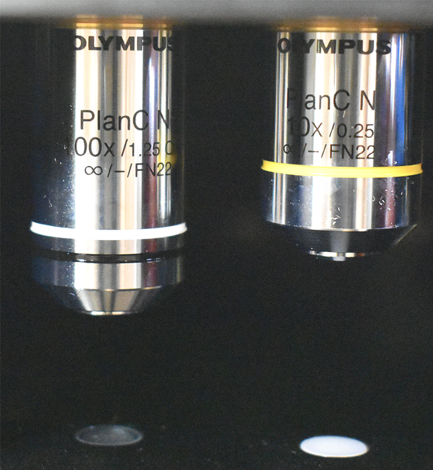 WARRANTY CELLAVISION DM1200 DIGITAL CELL MORPHOLOGY HEMATOLOGY XU10127 FREESHIP