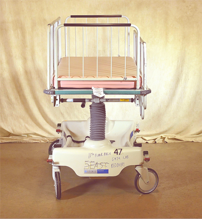 HAUSTED™ PEDIATRIC CRIB GURNEY COMPLETE with RAIL & MATTRESS WATCHVIDEO FREESHIP