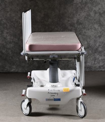 WARRANTY HAUSTED™ PEDIATRIC CRIB GURNEY COMPLETE with RAILS & MATTRESS FREE SHIP