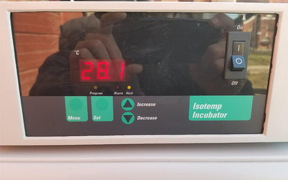 FISHER SCIENTIFIC 6858 GRAVITY ISOTEMP 2.5 CubFeet St Steel INCUBATOR FREE SHIP