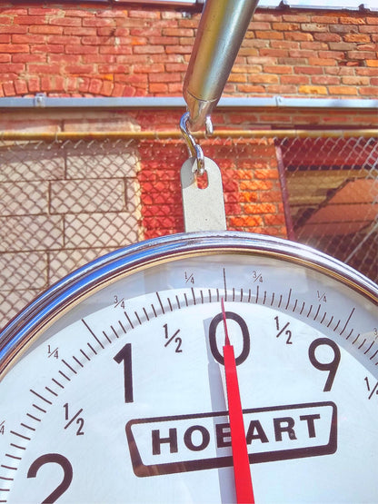 HOBART PR30-1 30LB 1-oz COMMERCIAL DUAL FACE HANGING DIAL ANALOG SCALE FREE SHIP