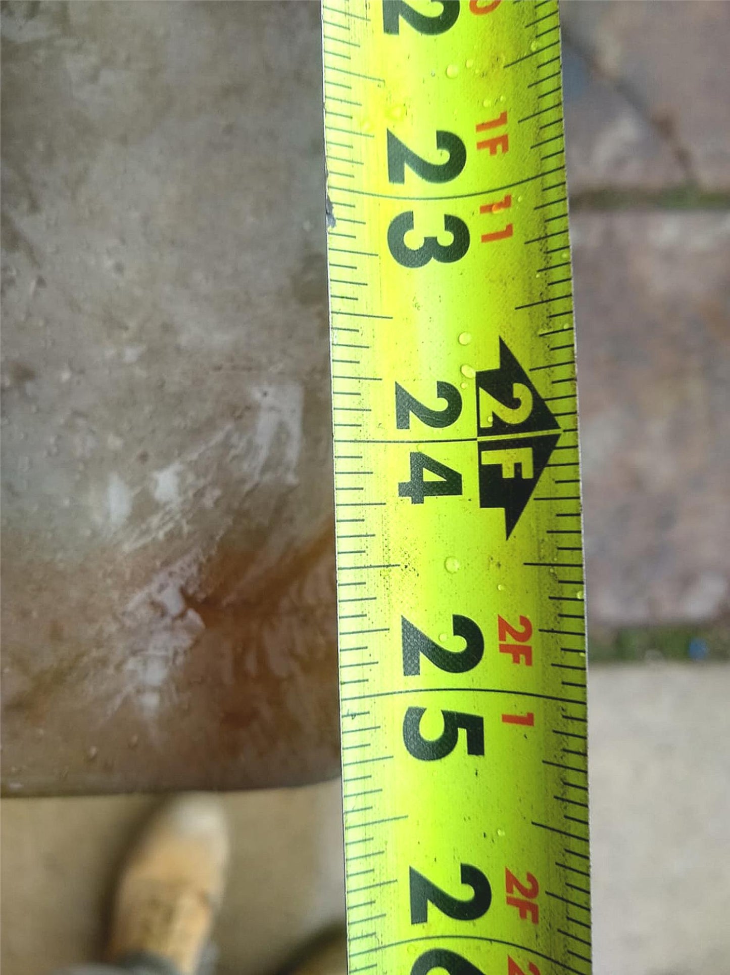 MIKE LOBO ROUTER STEVE