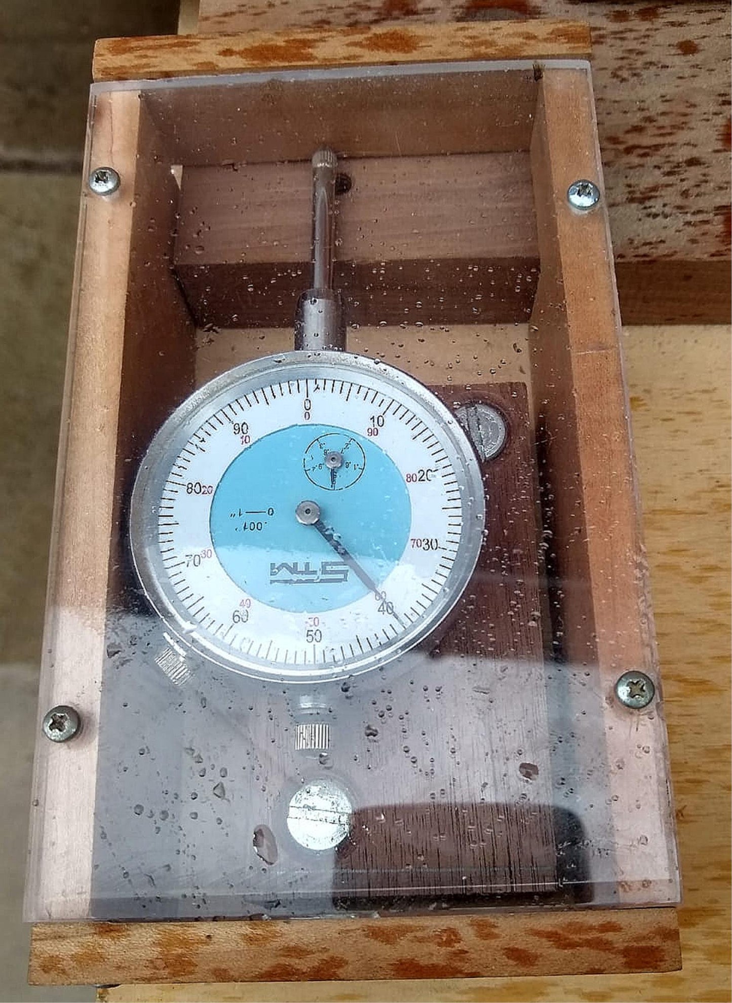 MIKE LOBO ROUTER STEVE