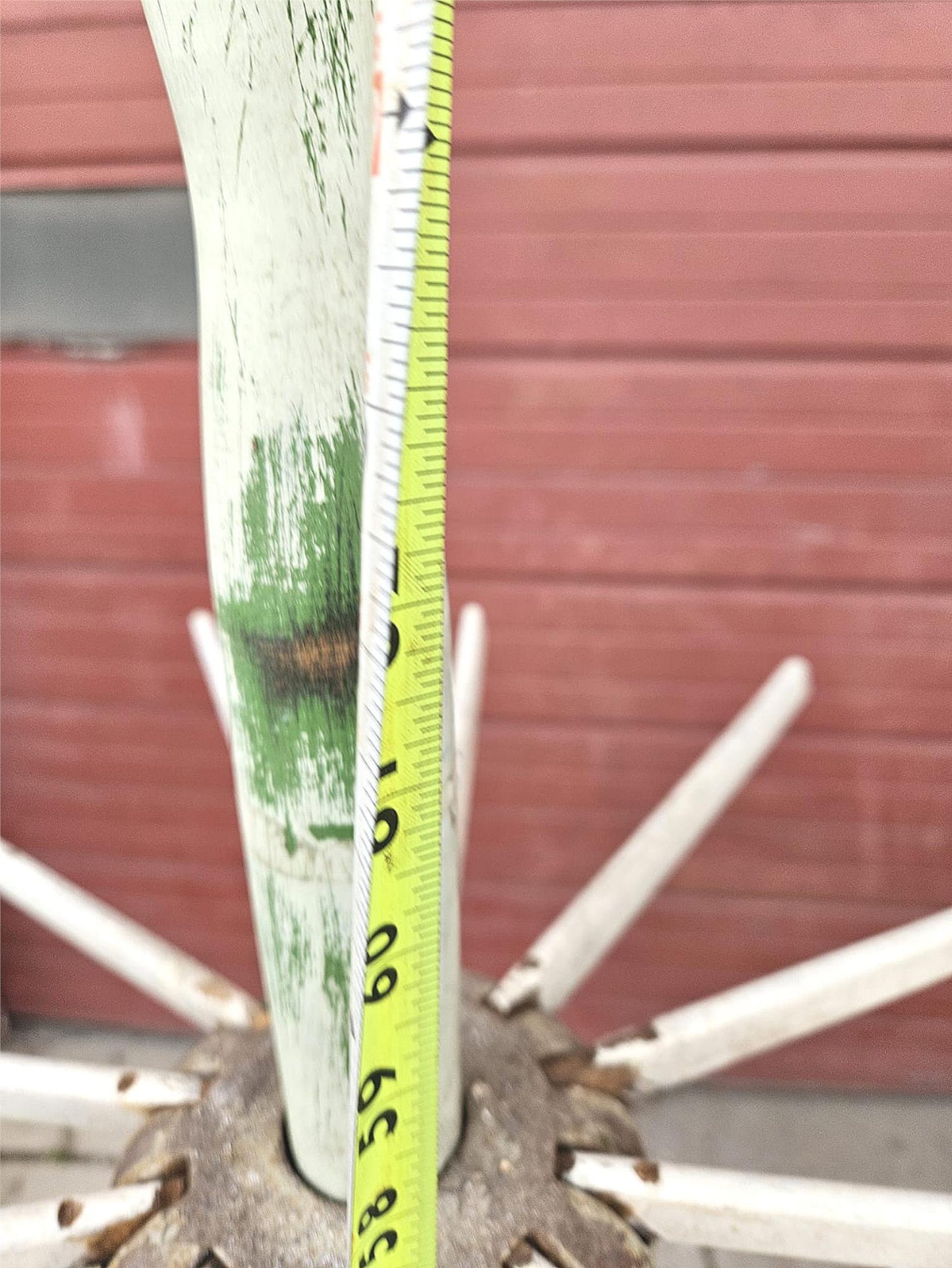 VINTAGE RARE 1930s BLACKSTONE WASHING MACHINE w/ WRINGER & DRYING STAND FREESHIP