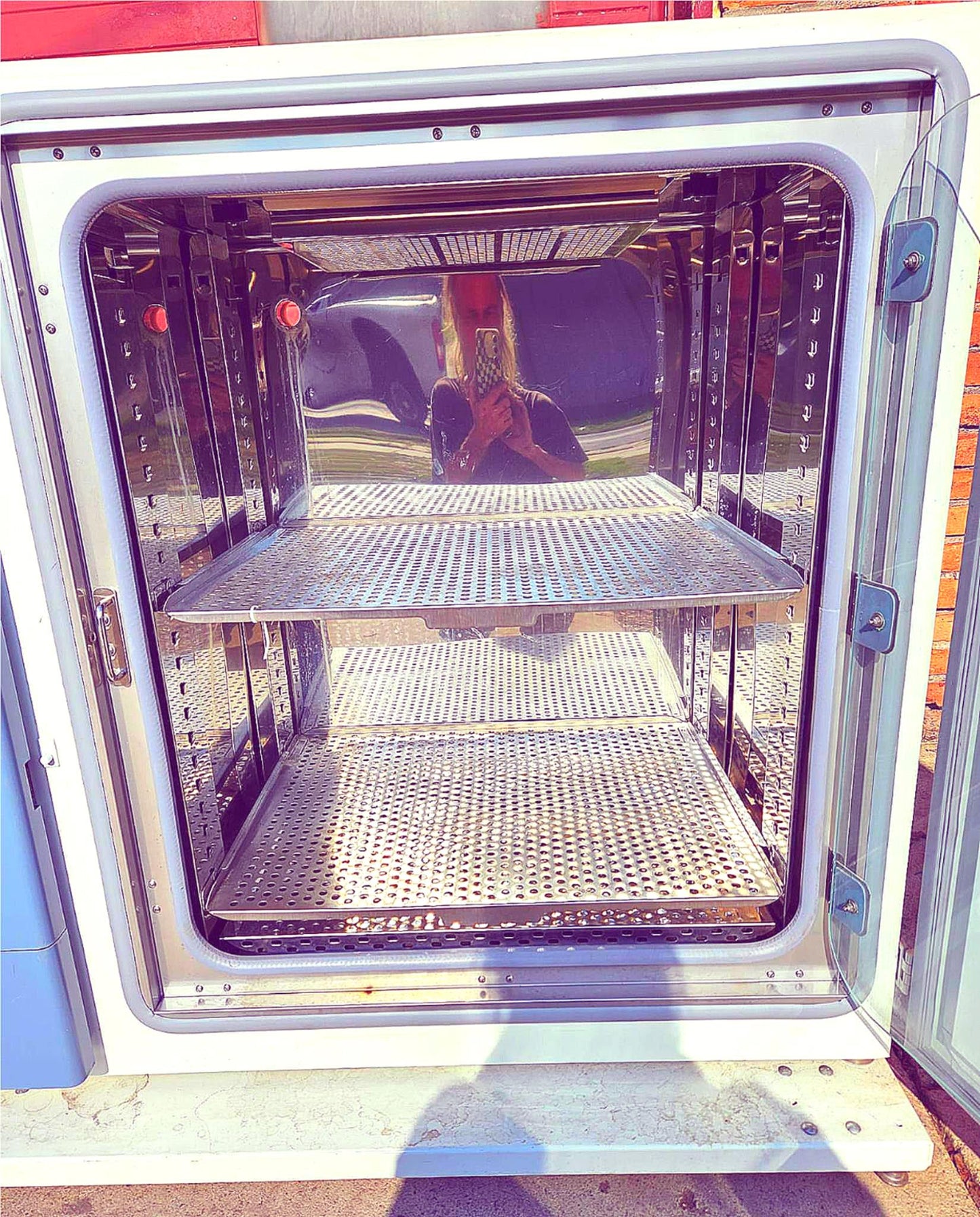 REFURBISHED THERMO STERI-CULT 3310 CO2 INCUBATOR & BONUS CART ON WHEELS FREESHIP